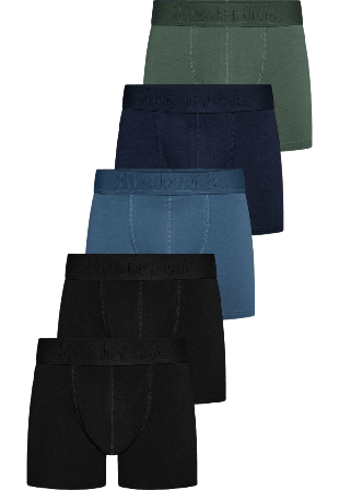 Resteröds Boxer Bamboo 5-pack Regular leg Kalsonger Herr Flerfärgad XL