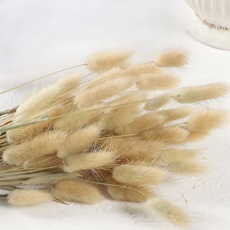 60 stk naturlige tørkede blomster kaninhalepampasgress Fluffy Lagurus Ovatus planter tørkede kaninhaleflorer (naturlig farge, 60)
