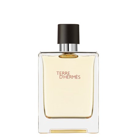 HERMÈS Terre d'Hermès Eau de Toilette 100 ml, Parfumer & Dufte, Herredufte, Terre D'hermès
