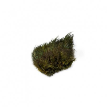 Ringneck Rump Hackle - Olive