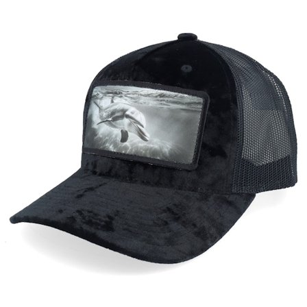 Calza Pennello - Black - trucker - Cap - Dolphin Big Patch Velvet Black Trucker - Hatstore