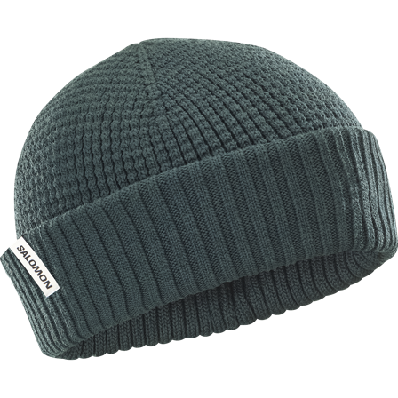 Salomon - Hatte og kasketter Hatte og kasketter Docker Beanie U - Green Gables