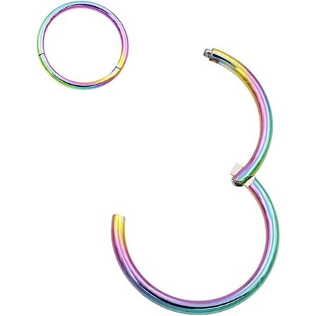 Fansing 316l Kirurgiskt Stål Hinged Näsringar Hoop 20g 18g 16g 14g 12g 10g 8g 6g, Diameter 5mm Till 22mm, Guld - Roséguld - Silver - Svart - Blå - 