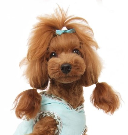 Puppy Angel - Rose The One Hair Pin