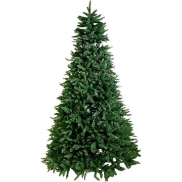 Juletre Star Trading Calgary G