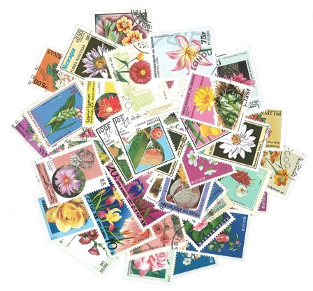 Blomster - 100 forskellige