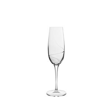 Champagneglas Aero 23,5cl 6 st