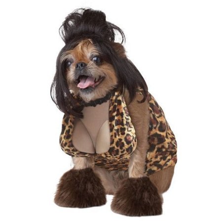 Söt hund Cosplay Halloween kostym Hund kostym