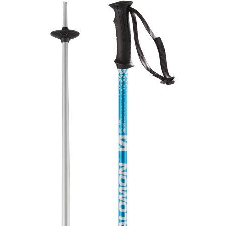 Salomon - Bastoncini da sci alpino Rental Anodized Adult