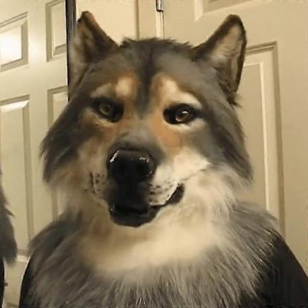Halloween Krybende Maske Dyremaske Fuld Hoved Cosplay Kostume Latex Hovedbeklædning Husky