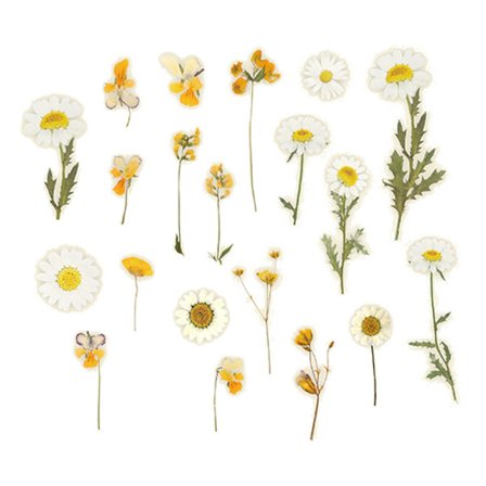 40 st Journal klistermärke papper självhäftande klistermärke blommig design härlig utsökt Journal papper dekor för heminredning Daisy