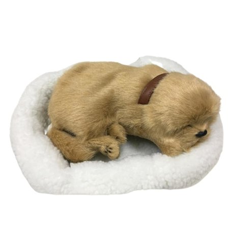 Söt Simulerad Sovande Katt/Hund Plyschdocka Med Bo Andning Fluffig Katt/Hund -t Z