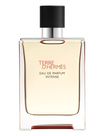 HERMÈS Terre D'hermès, Eau De Parfum Intense - Nude - 100 ML