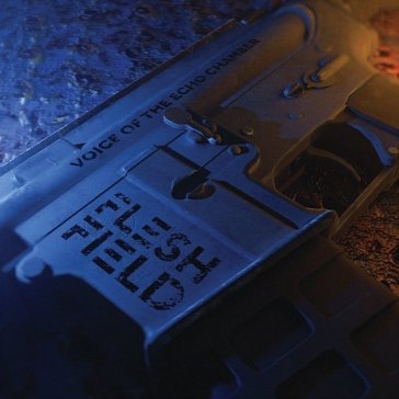 Voice of the echo chamber Flesh Field