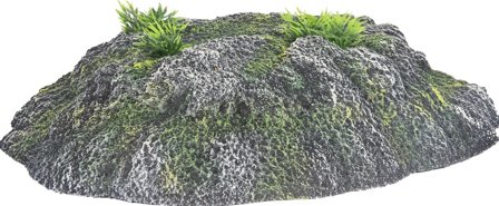 Øy til Reptil - 30x25x7cm