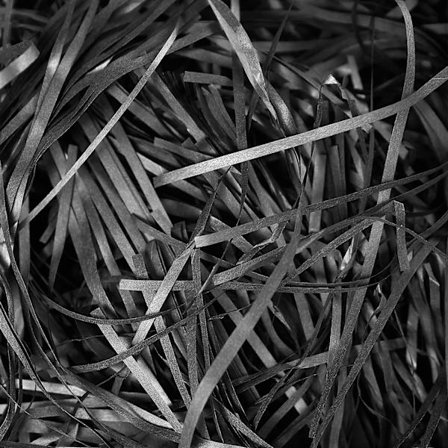 500g Svart Strimlad Pappersfyllning, Mjukt Kreppapper för Förpackning, Perfekt Fyllnadspapper för Presentaskar, Paket och