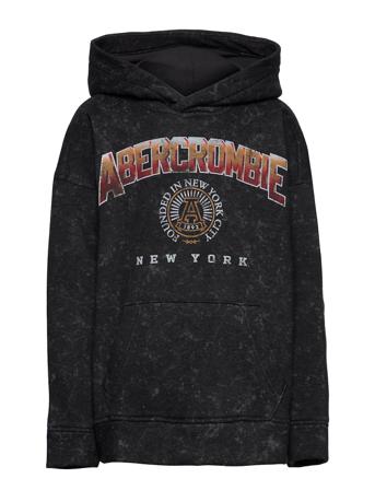 Kids Boys Sweatshirts Black Abercrombie & Fitch