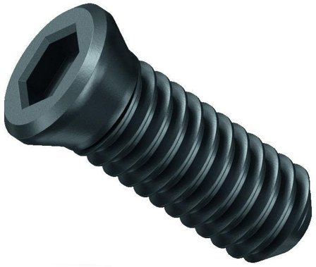 Fein 31350075000 Klämskruv 10-pack, för KFH17, Maskintillbehör & förbrukning