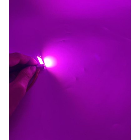 Spolelampe 39mm rød 8-pakning Led 2835SMD C5W SV8.5-WELLNGS{FY}