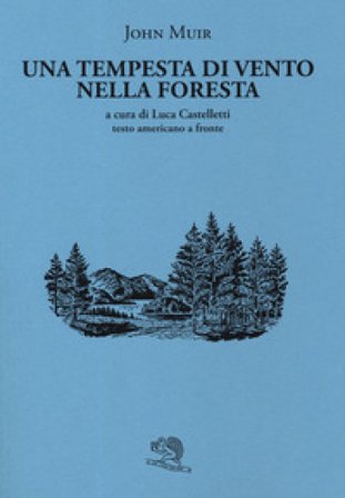 Una tempesta di vento nella foresta. Testo americano a fronte John Muir