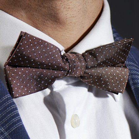 Brown Polka Dot Silk Pre-Tied Bow Tie for Men - Pre-tied bow ties