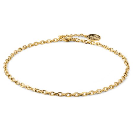 Gold-Tone Stainless Steel Anchor Chain Men's Anklet for Men - Anklets