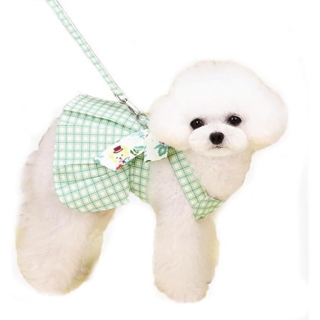 IC Rutig Hundklänning Selekoppel Set Flick Hundkläder för Små Hundar Grön Hund Sommarklänning med D-ring (Liten, Grön)