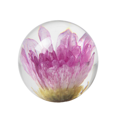 In Flore Dahlia Pappersvikt, Brevtyngd Inredningsdetaljer Rosa 10 cm