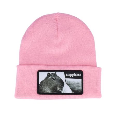 Iconic - Rosa cuff Beanie - Capybara Sofa Beanie Classic Pink Cuff @ Hatstore