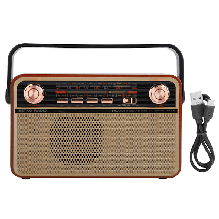 FM/AM/SW Bärbar Radio med USB-Laddning, Radiomottagare för U-Disk, Bluetooth, Minneskort, Hem
