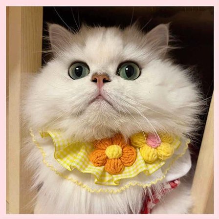 (Gyldne Margueritter) Lille Hagesmæk Broderi Trekant Tøj Fashionabelt Kostume med Justerbar Scraft Hagesmække til Kæledyr Hunde Tilbehør Klassisk 