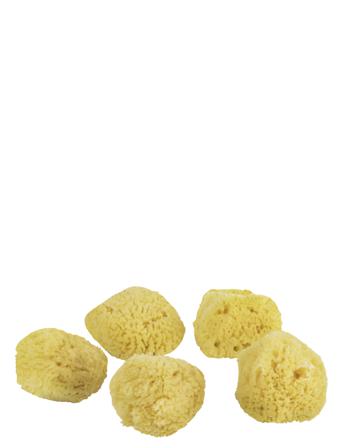 Ocean Face Sponges - 5 Pcs. Home Decoration Bathroom Interior Bath Brushes Gul Mette Ditmer