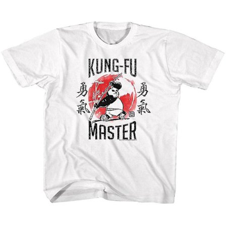 Kung Fu Panda Kung-fu Master Youth T-shirt