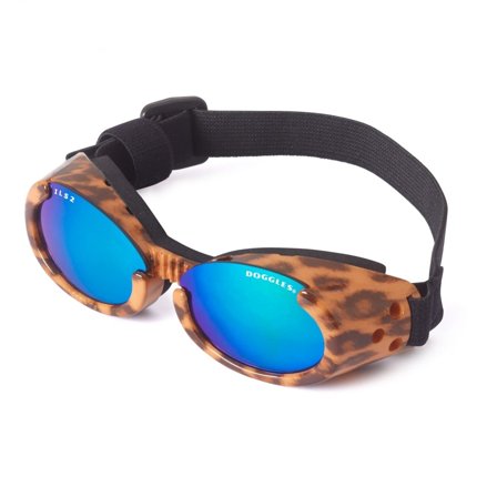 Doggles - Hundebriller ILS - Leopard / Blue Lens - Hundebriller fra Doggie.no
