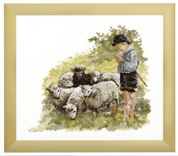 Bild Schafsherde - Oehlenschläger