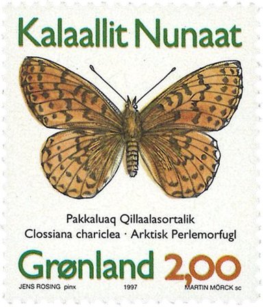 Grønland 1997 - AFA 304a - Postfrisk