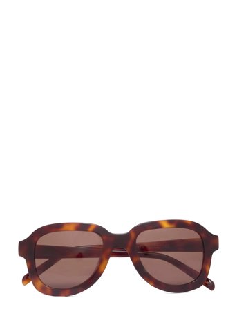 Pascal Tortoise Brown Brown Corlin Eyewear