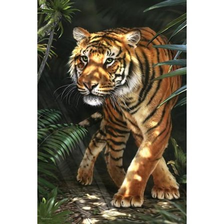 David Penfound Art - Tiger in the Jungle