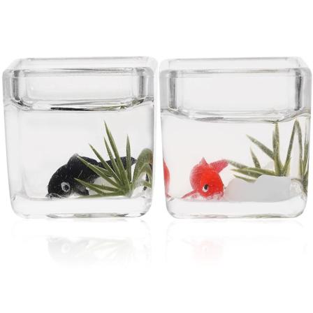 2 stk Miniatyr Akvarium Skrivebord Akvarium Modeller Dukkehjem Fiskeskåler Dekor Assortert Farge 3x3x3cm Assorted Color 3x3x3cm