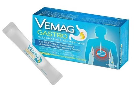 Vemag Gastro 20 Stick