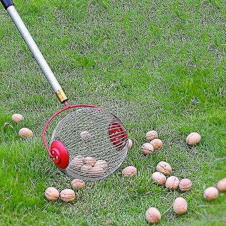 Trädgårdsvals för nötskörden Fruktplockare Mycket Hård Hög Kvalitet för valnöt