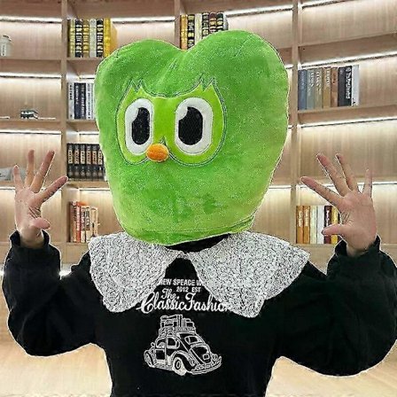 Duolingo 10-årsjubileum Grön Uggla Huvudskydd Plysch Duo (FMY)