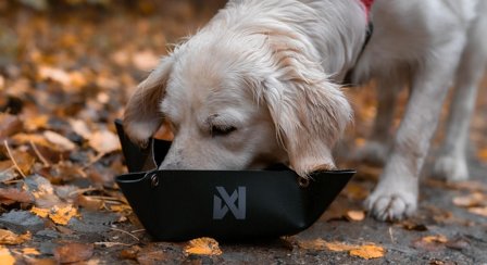 Non-stop Trekking Bowl - M