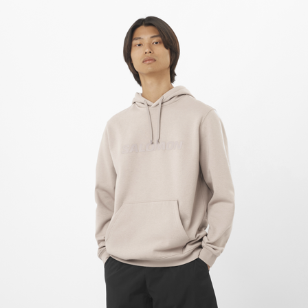 Salomon - Salomon Hoodie M - Etherea