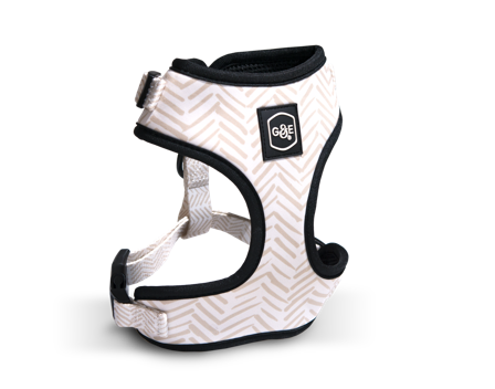 Gustaf och Evita - Sele Chicish Soft S, Hals 35-44cm, Bryst 41-54cm, Mønstret - Hund - Halsbånd - ZOO.no