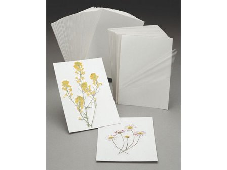 Kontaktplastkort 50/fp - Lyreco - Skola och förskola - Klassrummet / Lära - Biologi