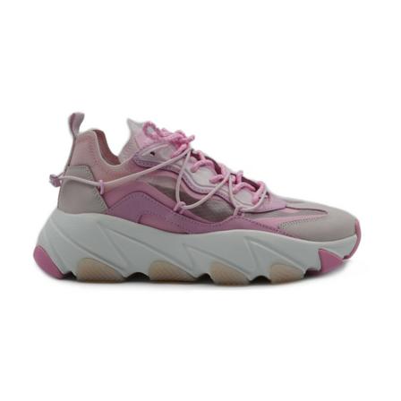 Ash, Sneakers Roze, Dames, Maat:36 EU