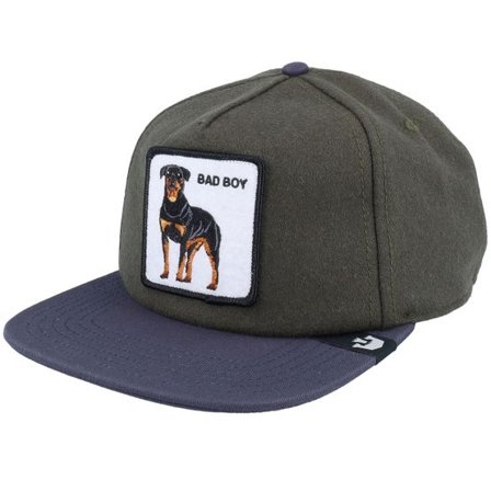 Goorin Bros. - Grön snapback Keps - Top Dog Wildlife Olive/Navy Snapback @ Hatstore