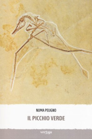 Il picchio verde Numa Peligno