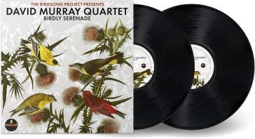 Birdly serenade David Murray